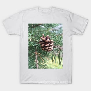 Pine Cone T-Shirt